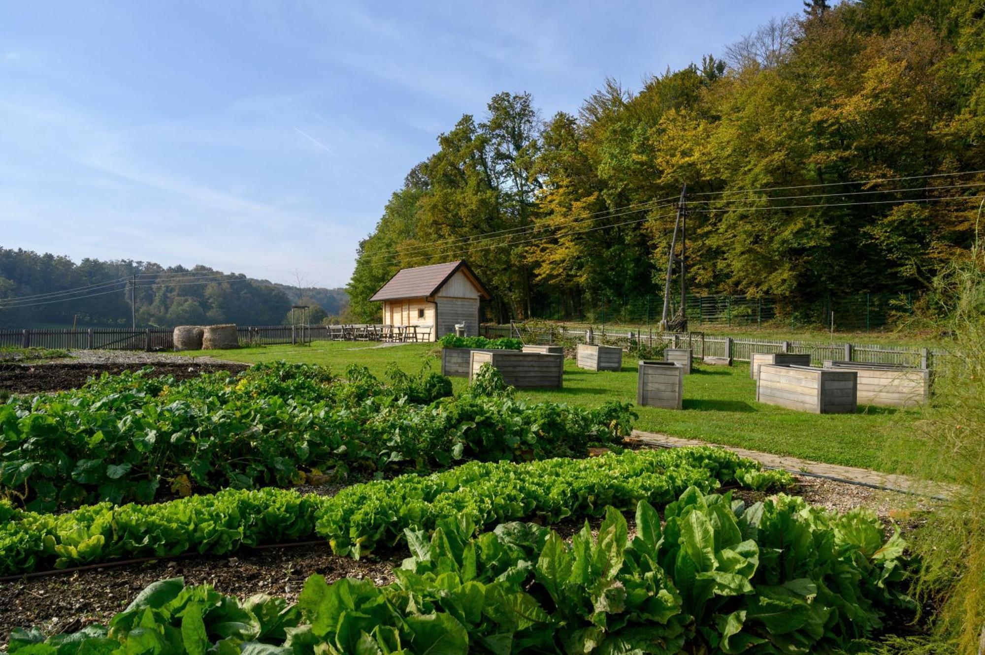 Hotel Grad Otocec - Relais Chateaux Exteriör bild